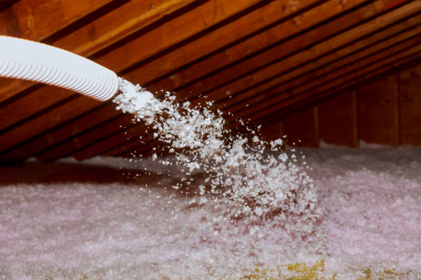 Types of Insulation We Offer in San Ramon, CA